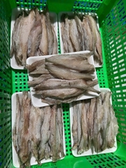 Cá khoai làm sạch khay 1kg