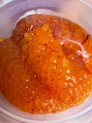 Trứng Cá Ngát - Khay 500Gr