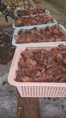 Sứa Đỏ -Chân sứa túi 500g luôn nước 1kg