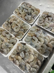 Tôm sống lột khay 500g 20-25 con