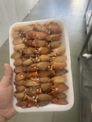 Thịt càng cua khay 400g