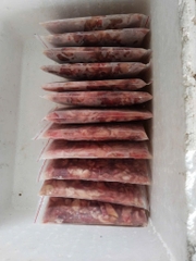 Bao Tử Cá Basa - Túi 1Kg