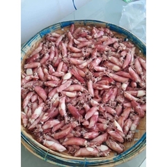 Mực Hấp Thuyền Nghệ An - Khay 1kg