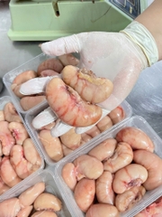 Ngọc Kê Gà Tay - Hộp 500Gr