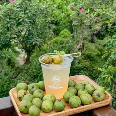 Sấu Tươi Cạo Vỏ 1kg