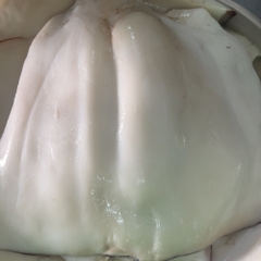 Thân Mực Đại Dương - Khay 1Kg