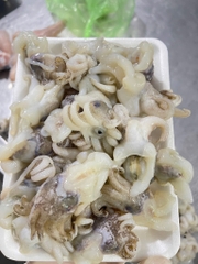 Đầu mực nang size 15-20 cái khay 450g