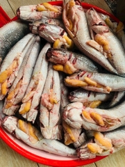 Cá lóc đồng ôm trứng 1kg