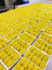 Xôi Gà Nấm Siêu To - Khay gần 800g