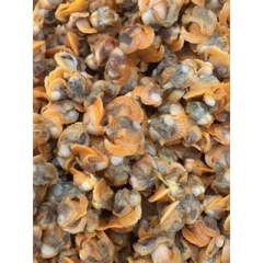 Ruột Sò Huyết Làm Sạch - Hộp 500Gr