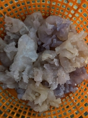 Sứa chùm gói 500g luôn nước 1kg