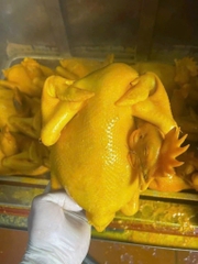 Gà ủ muối nguyên con có đầu coa chân con từ 1kg trở lên