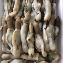 Ruột Ốc Móng Tay loại 1 - 1Kg