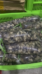 1kg hàu sữa tách vỏ đủ kg