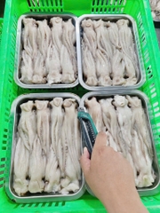 Đầu Mực Lá Đại Dương Tươi khay 500g