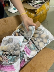 Bào ngư 1kg net 5 size 20-22 con