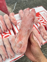 Móng heo trước hàng Tonnies thùng 10kg