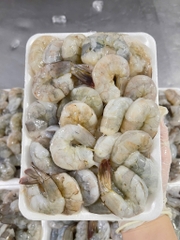 Tôm sống lột khay 500g 20-25 con