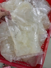 Sứa thạch - Sứa óc túi 500g luôn nước 1kg