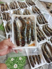 Lóc đồng ướp xả 1kg