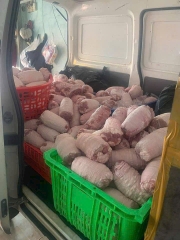Bắp giò heo bó chỉ ăn bún đậu 1kg