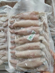 Mực Trứng- Khay 1Kg