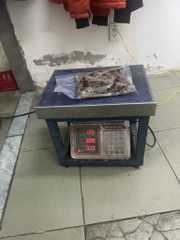 Sứa đỏ - Thịt sứa túi 500g luôn nước 1kg