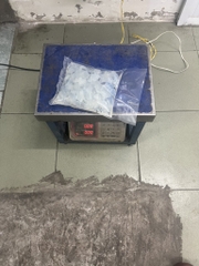 Sứa thạch - Sứa óc túi 500g luôn nước 1kg