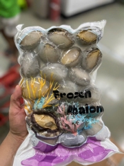 Bào ngư 1kg net 6 size 20 con