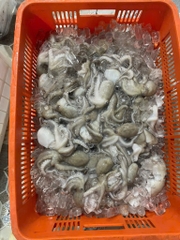 Bạch tuột tươi (tua 1 da ) khay 400g