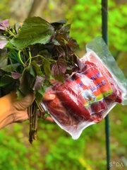 Bắp Dê Úc - Túi 1Kg