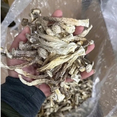 Nấm Lộc Nhung Khô Nguyên Cây gói 200g