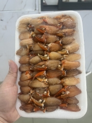 Thịt càng cua khay 400g