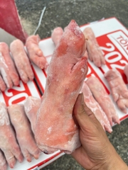 Móng heo trước hàng Tonnies thùng 10kg