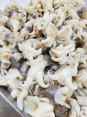Đầu mực nang size 15-20 cái khay 450g