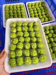Chả Cá Cuọn Cốm Xanh Vĩ 35 Viên 500g