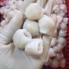 Răng Mực Cồ Mực Bự - Túi 500Gr