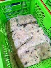 Cá Lóc cắt miếng phi lê túi 500g