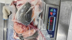 Bộ xương đầu vay cá hồi bịch 1kg