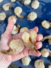 Tôm nõn size lơn còn đuôi 1kg 30-40 con khay 500g
