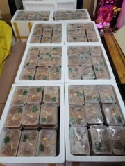 Bánh Bột Lọc Phan Thiết hộp 500g