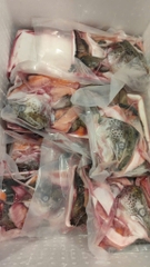 Bộ xương đầu vay cá hồi bịch 1kg