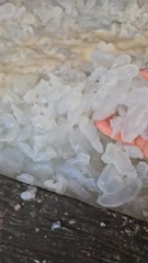 Sứa thạch - Sứa óc túi 500g luôn nước 1kg