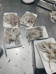 Đầu Mực Lá Đại Dương Tươi khay 500g