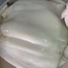 Thân Mực Đại Dương - Khay 1Kg