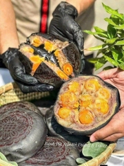 BÁNH PÍA THAN TRE 8 Trứng Song Vị hộp 500g
