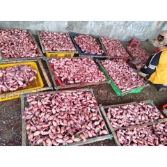 Mực Hấp Thuyền Nghệ An - Khay 1kg