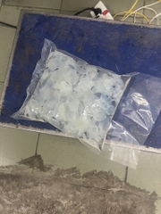 Sứa thạch - Sứa óc túi 500g luôn nước 1kg