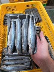 Cá nục sapa mần sạch khay 400g