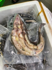 Cá tầm nguyên con làm sạch hut chân không 1kg